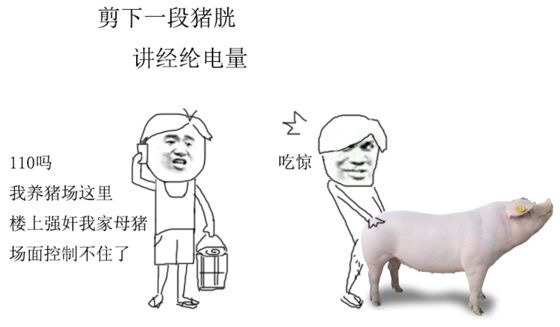 【全网独家】你日过猪吗？男子艹猪视频流出-变态